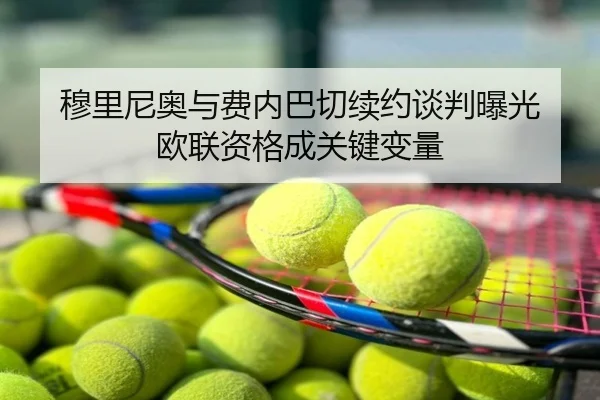 穆里尼奥与费内巴切续约谈判曝光 欧联资格成关键变量