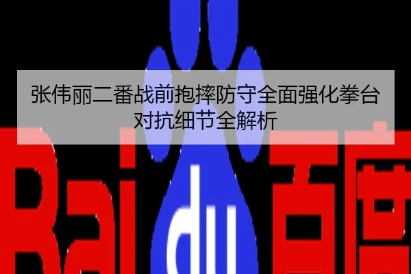 张伟丽二番战前抱摔防守全面强化拳台对抗细节全解析